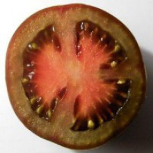 Редкие сорта томатов Кумато 